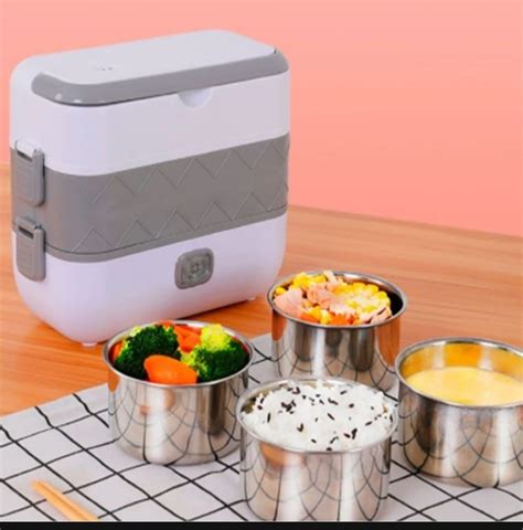 electric cooking lunch box recipe|directly from freezer to lunch box.